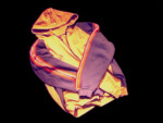 hype jacke mit orange-weissen streifen und kapuze